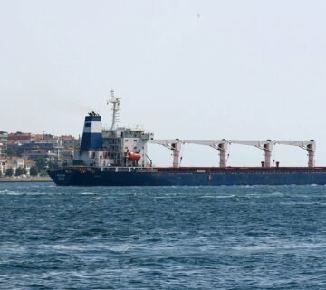 32209d73ad936be653f8eeefd4a77505 360x320