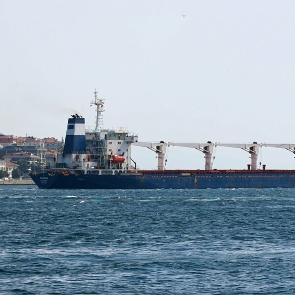 32209d73ad936be653f8eeefd4a77505 600x600